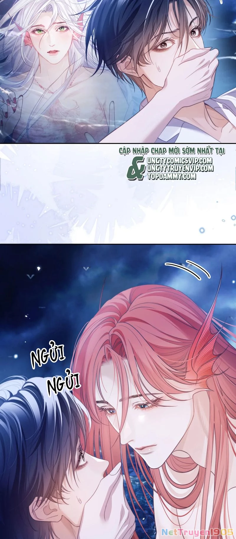 Desharow Nhân Ngư Chapter 33 - 16