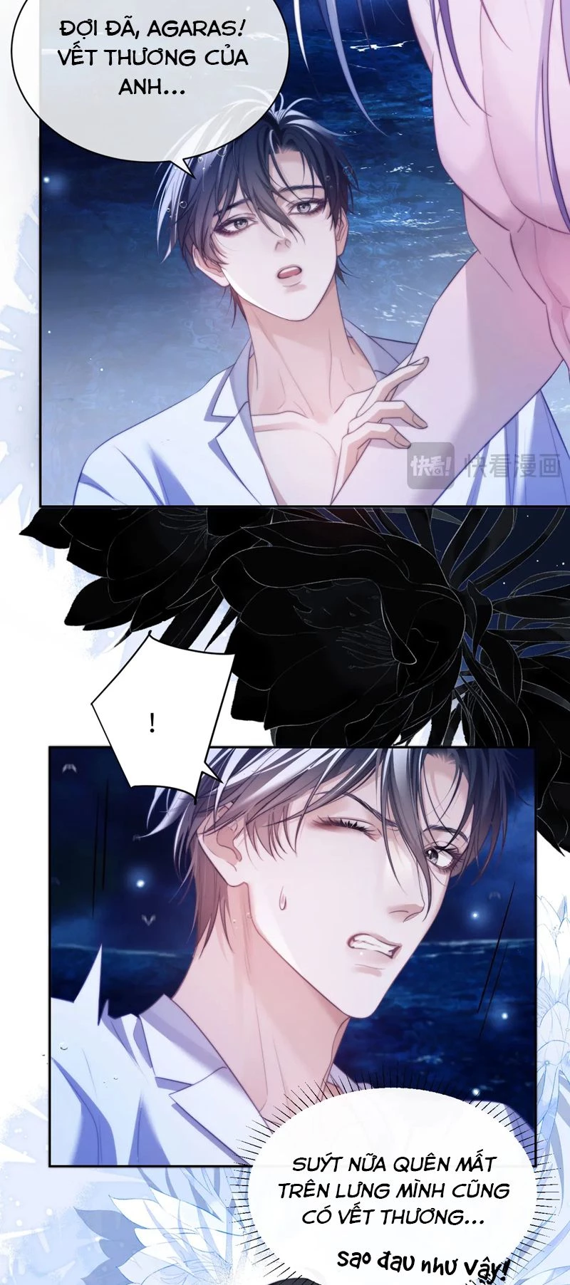 Desharow Nhân Ngư Chapter 34 - 11