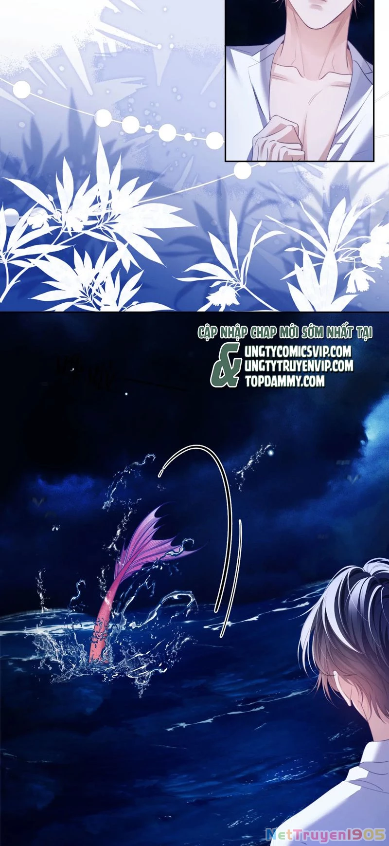 Desharow Nhân Ngư Chapter 34 - 28