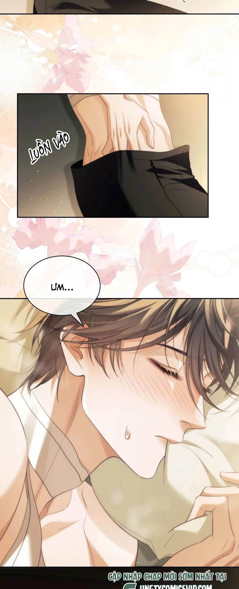 Desharow Nhân Ngư Chapter 36 - 5