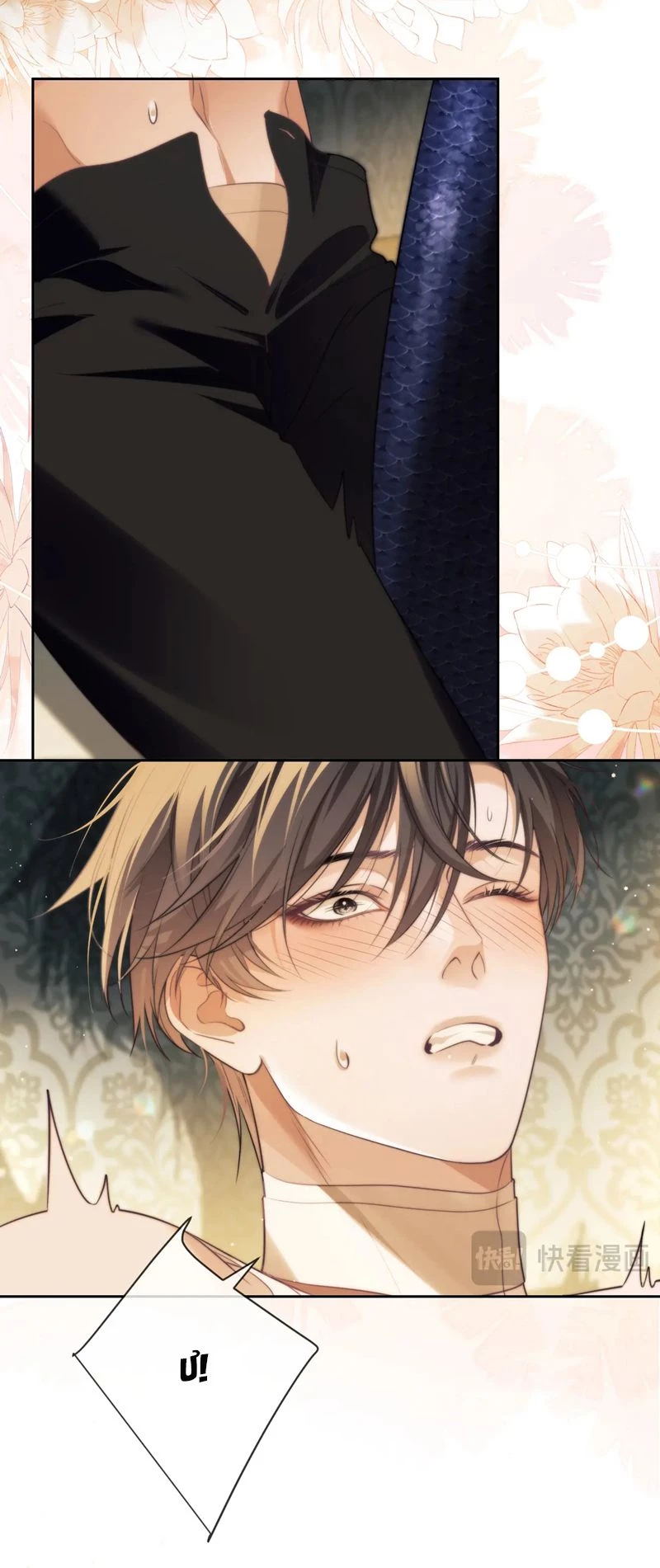 Desharow Nhân Ngư Chapter 36 - 18