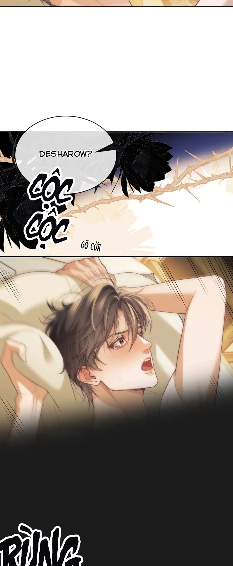 Desharow Nhân Ngư Chapter 37 - 13