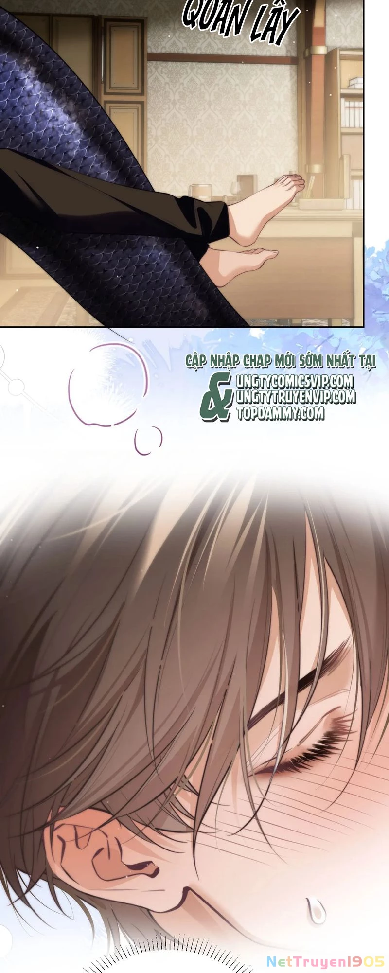 Desharow Nhân Ngư Chapter 37 - 18