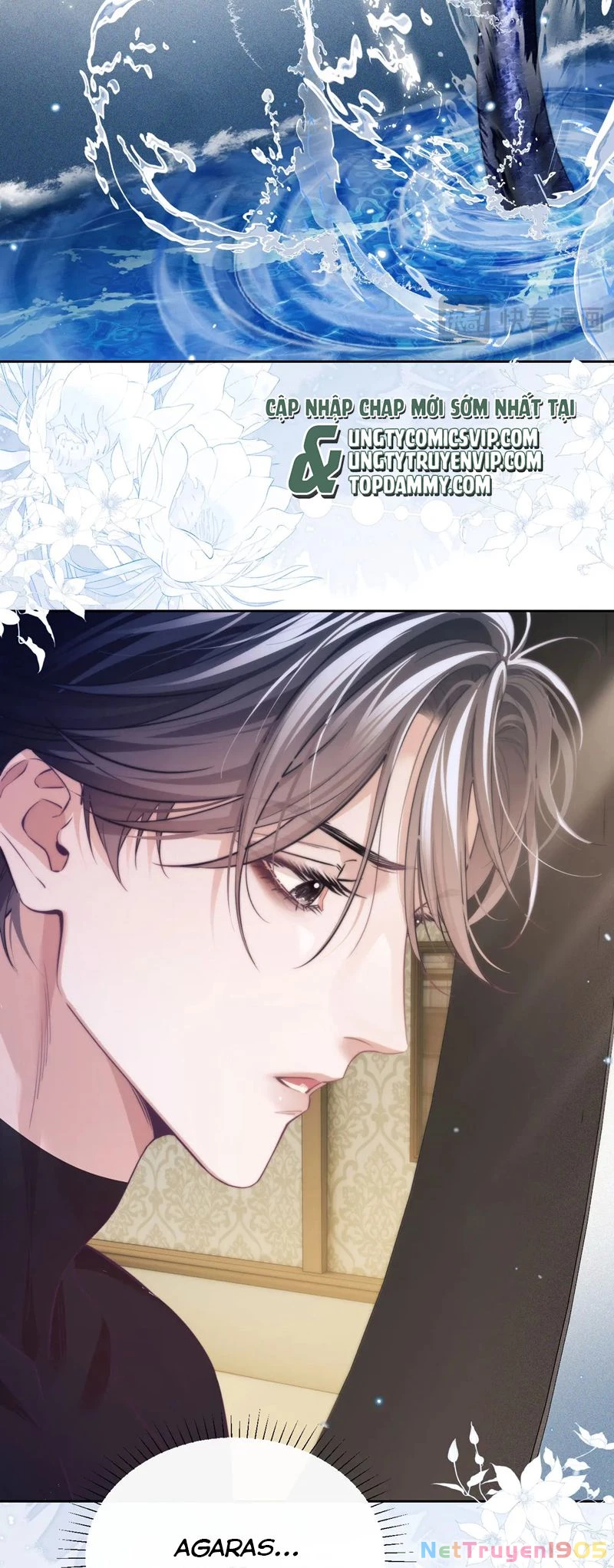 Desharow Nhân Ngư Chapter 38 - 22
