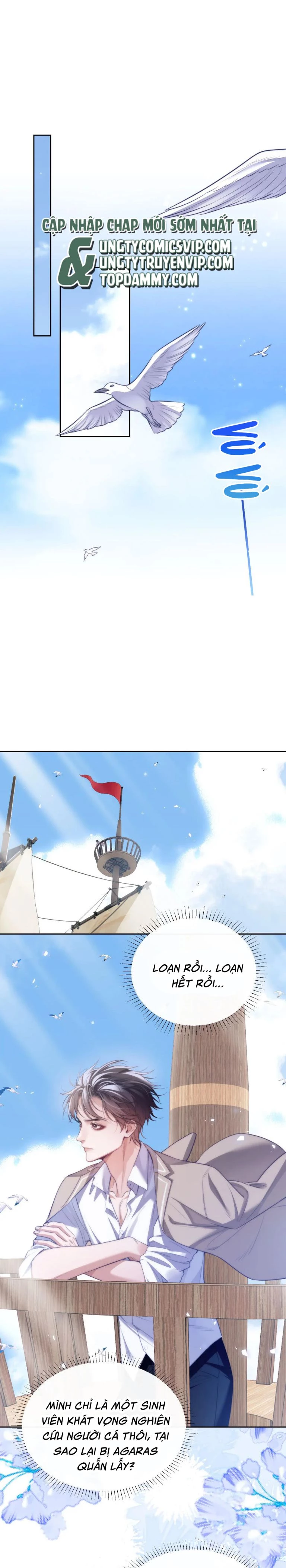 Desharow Nhân Ngư Chapter 39 - 2