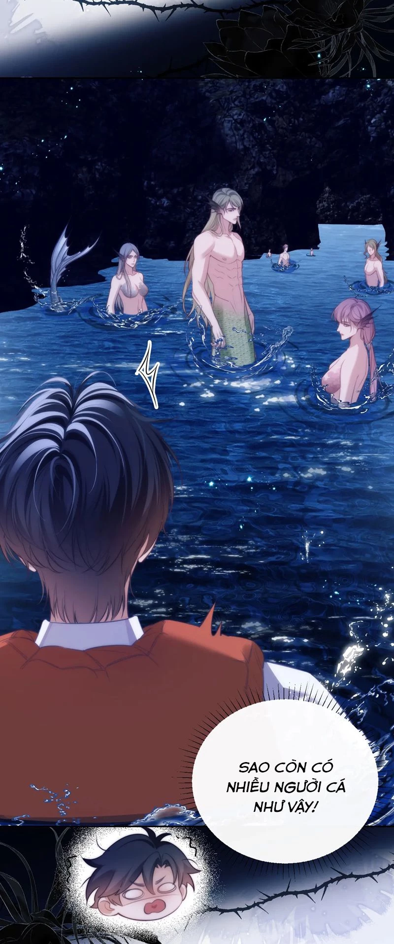 Desharow Nhân Ngư Chapter 41 - 12