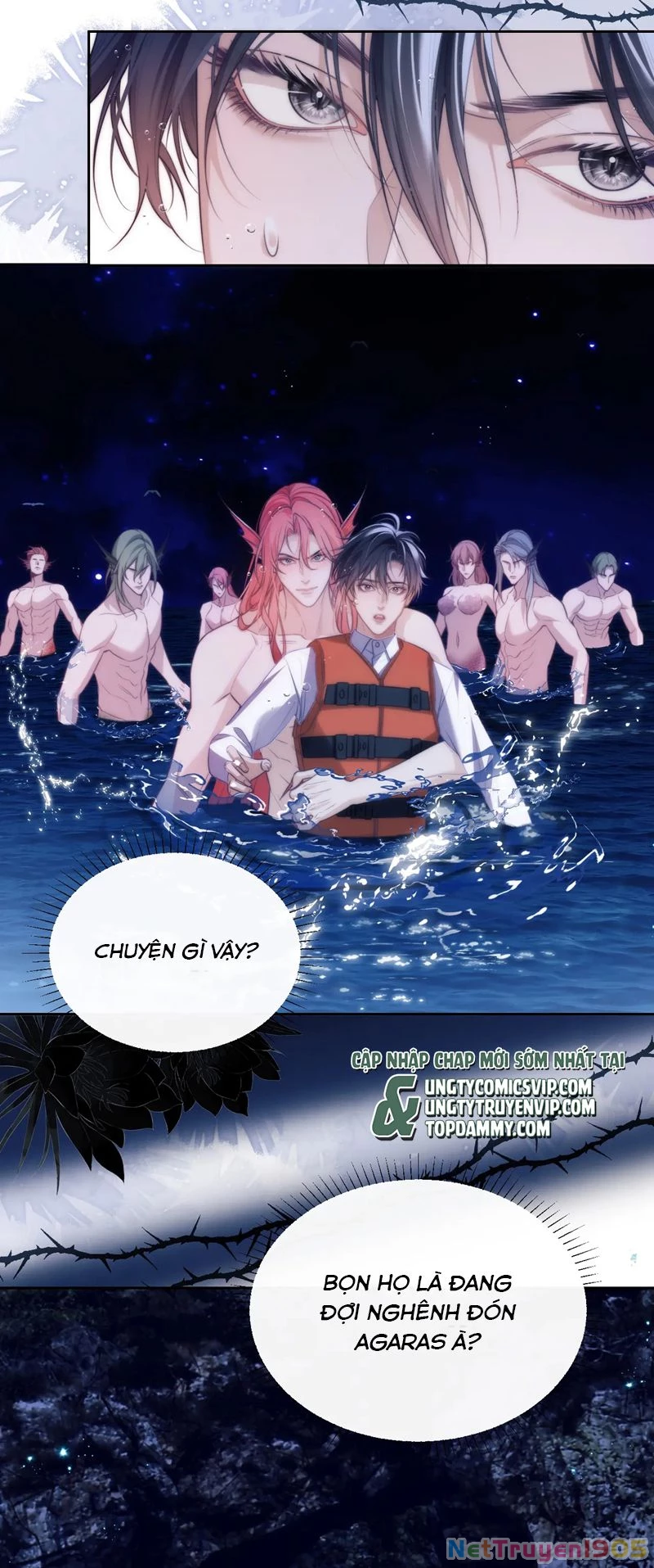 Desharow Nhân Ngư Chapter 41 - 15