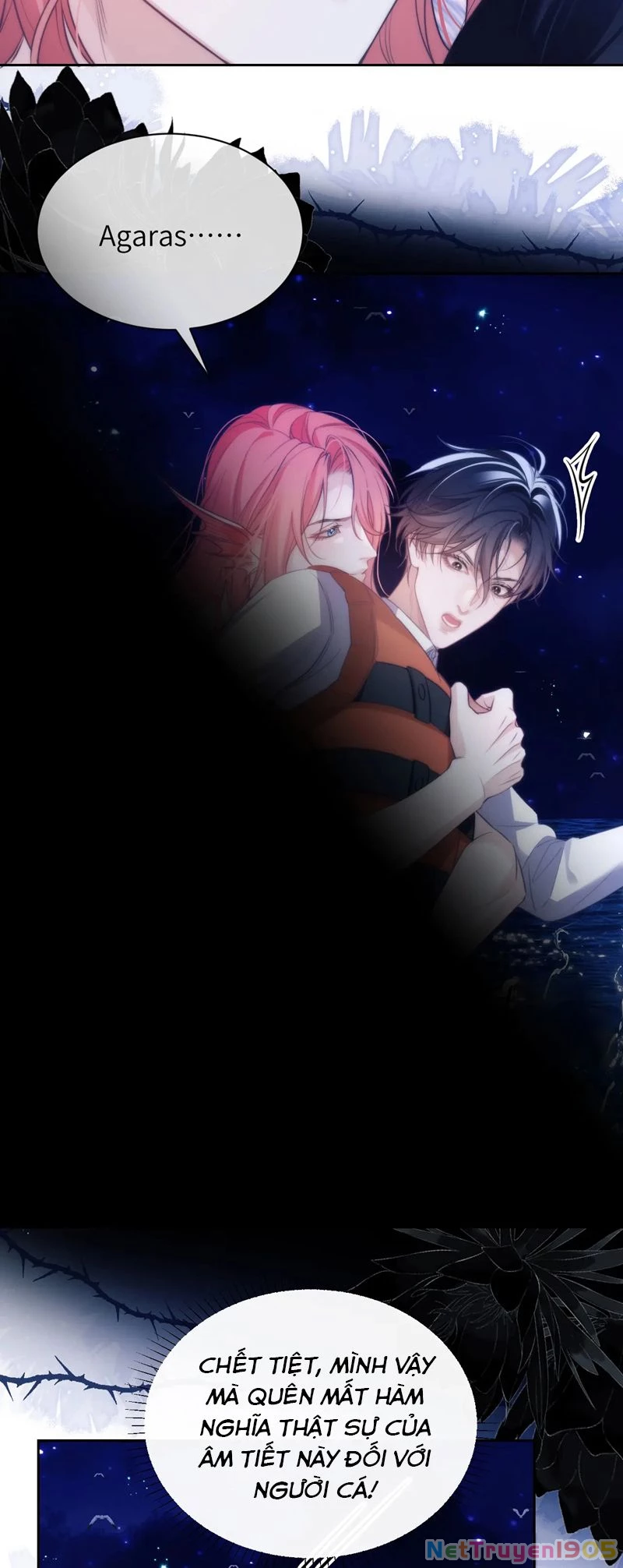 Desharow Nhân Ngư Chapter 41 - 24