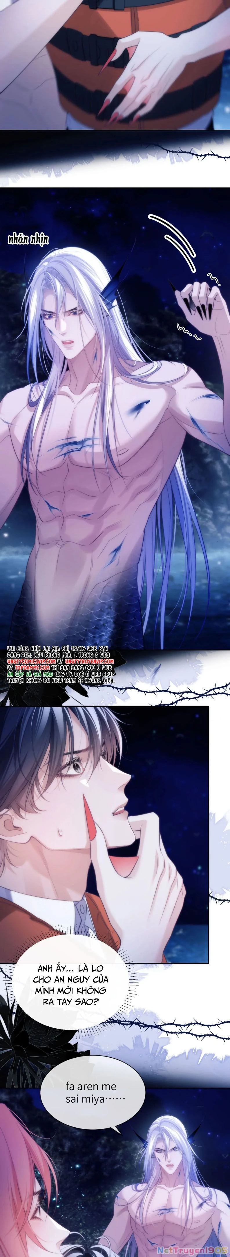 Desharow Nhân Ngư Chapter 42 - 5