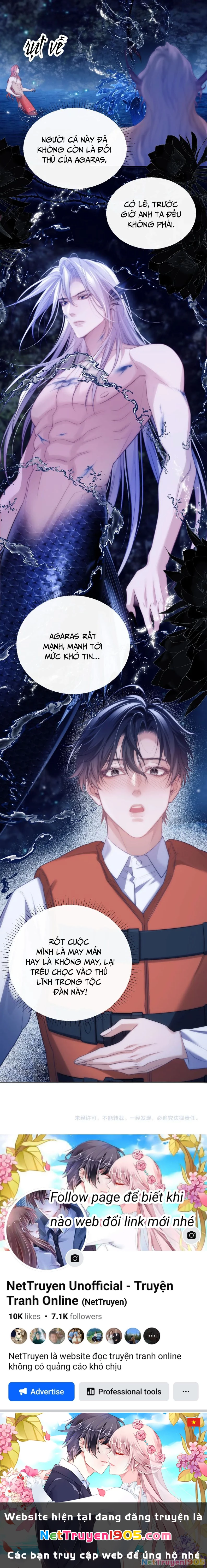 Desharow Nhân Ngư Chapter 42 - 11