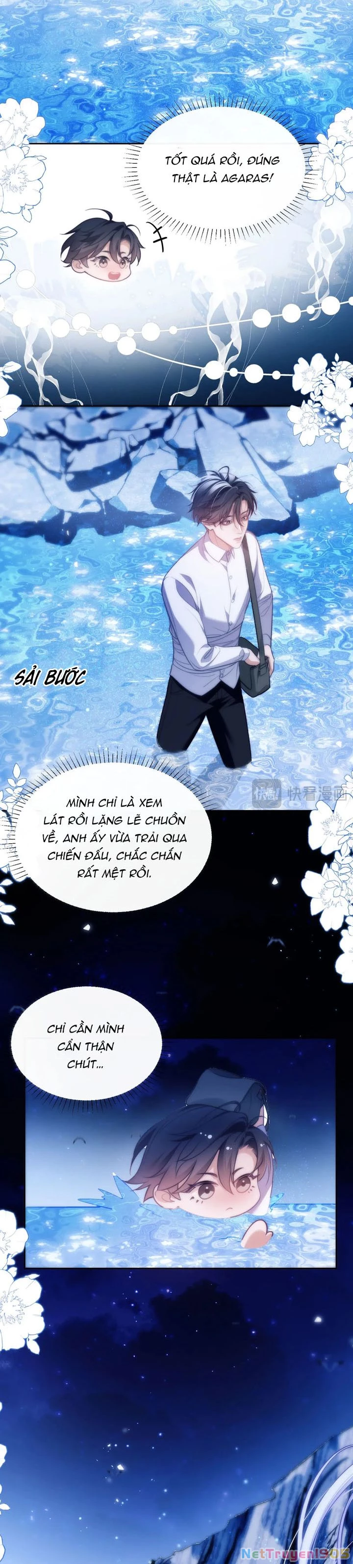 Desharow Nhân Ngư Chapter 44 - 8