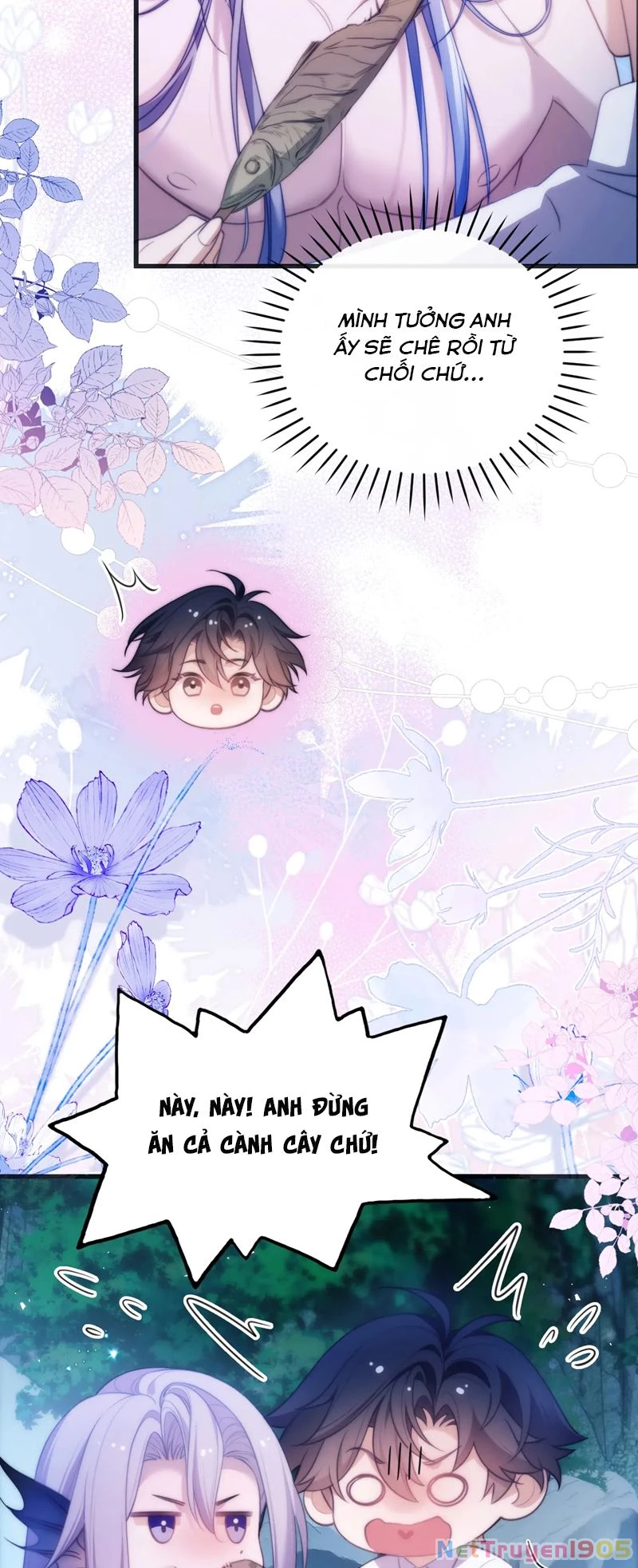 Desharow Nhân Ngư Chapter 51 - 7