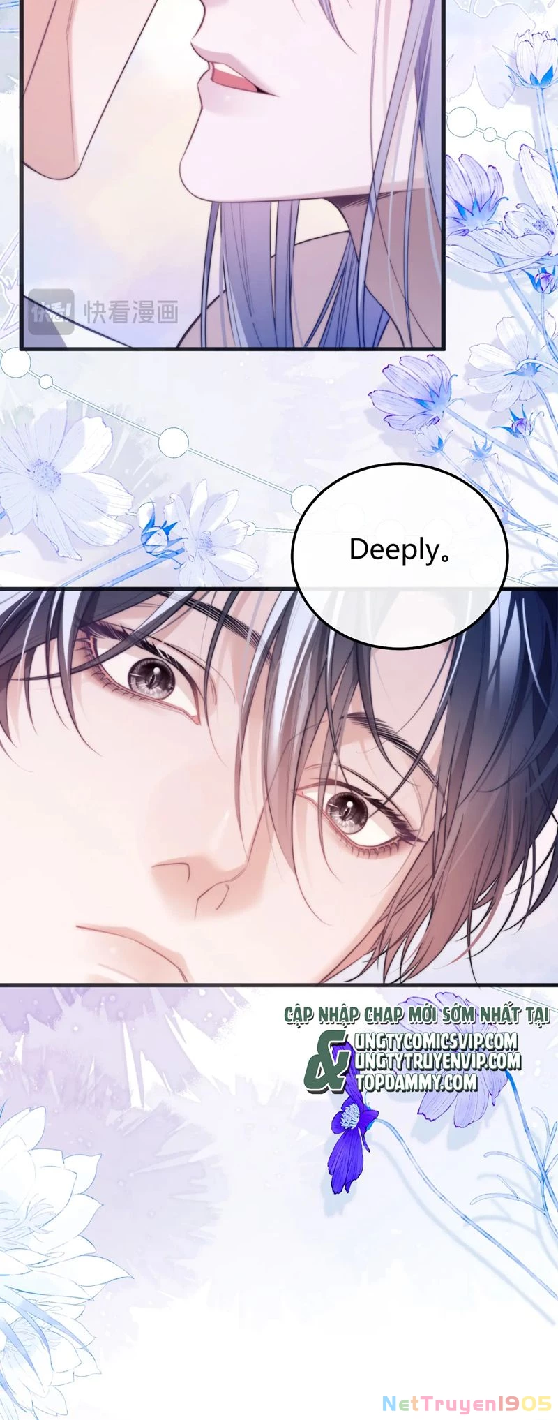 Desharow Nhân Ngư Chapter 52 - 8