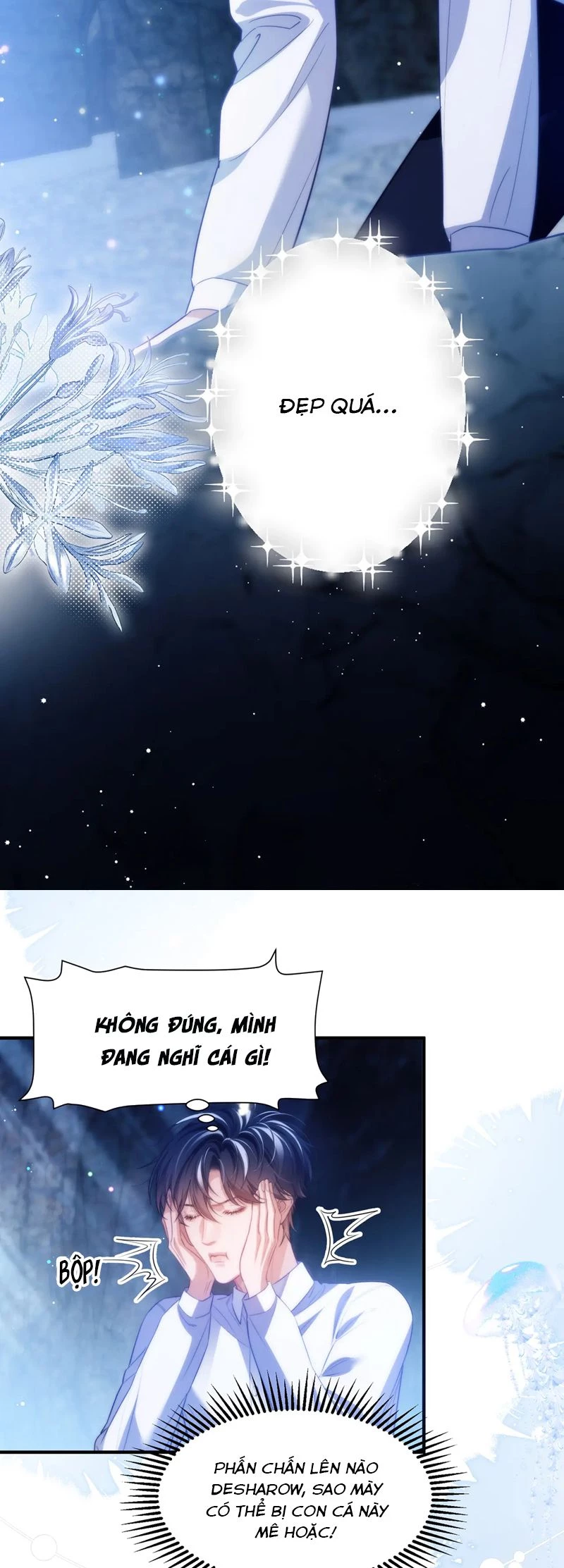 Desharow Nhân Ngư Chapter 56 - 14