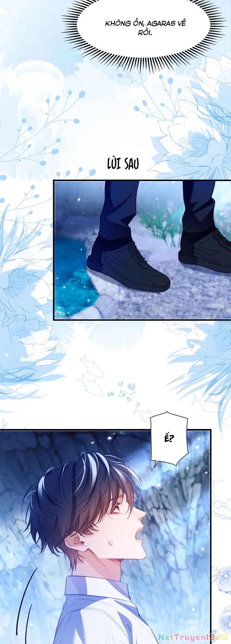 Desharow Nhân Ngư Chapter 56 - 23