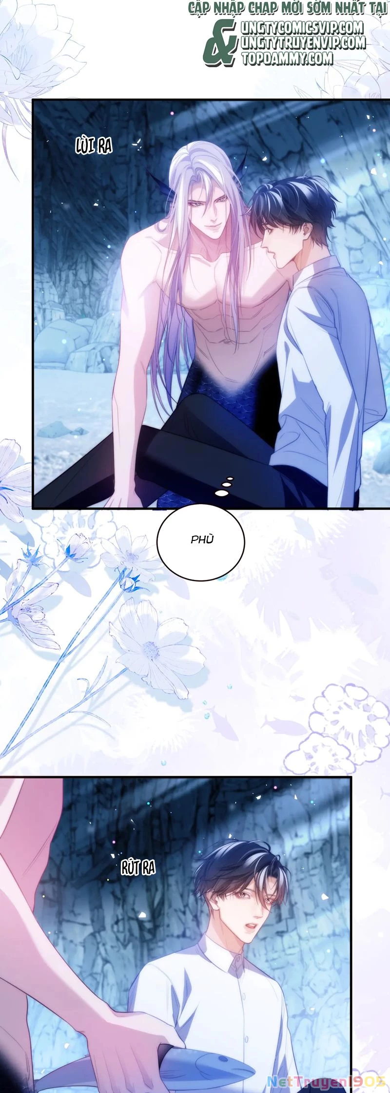 Desharow Nhân Ngư Chapter 57 - 11