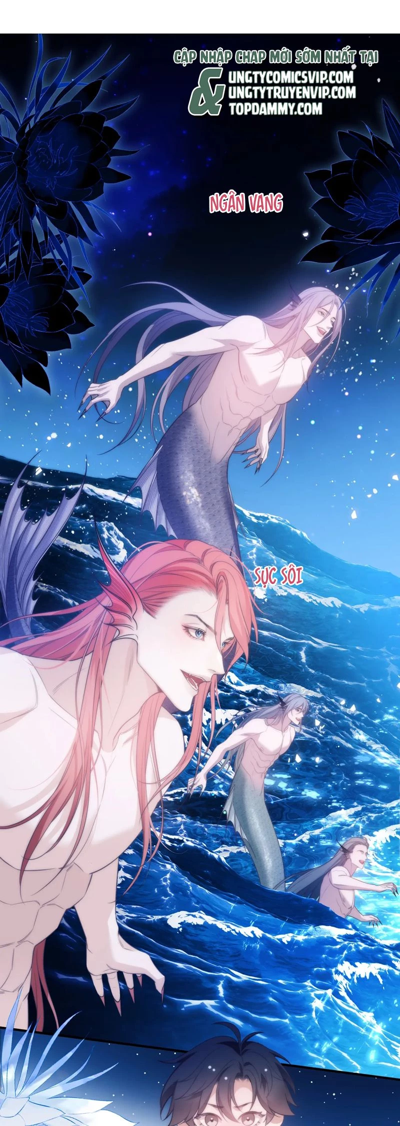 Desharow Nhân Ngư Chapter 58 - 2