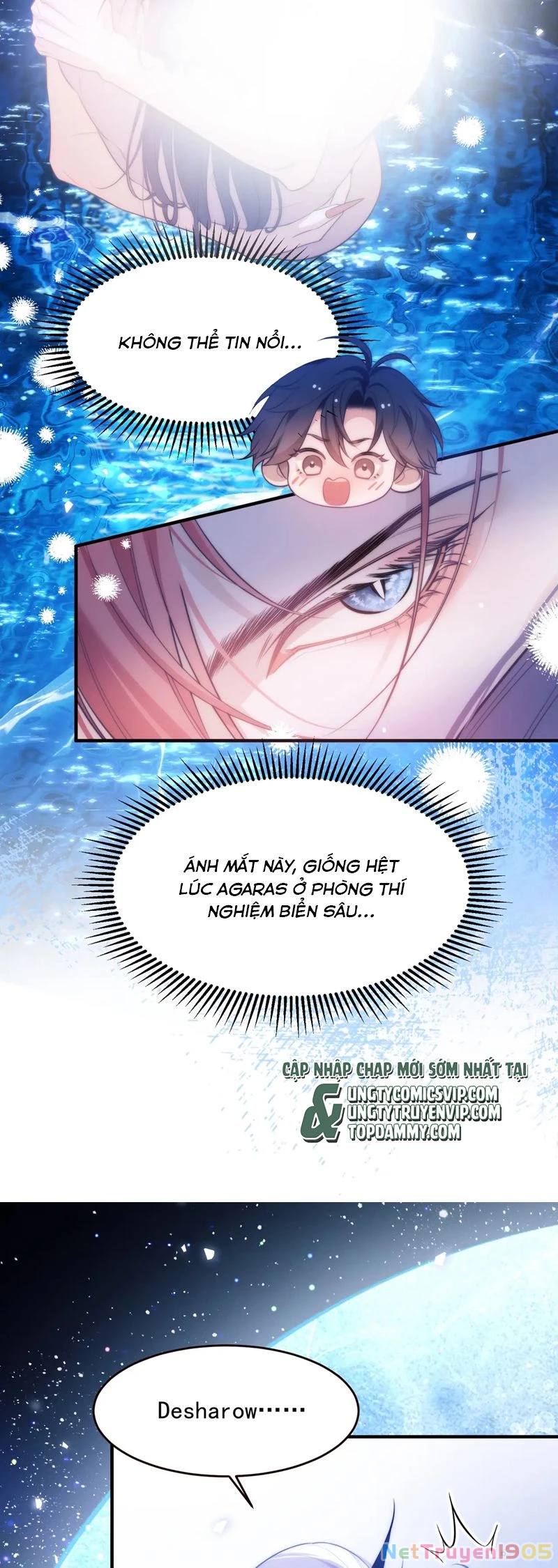 Desharow Nhân Ngư Chapter 58 - 6