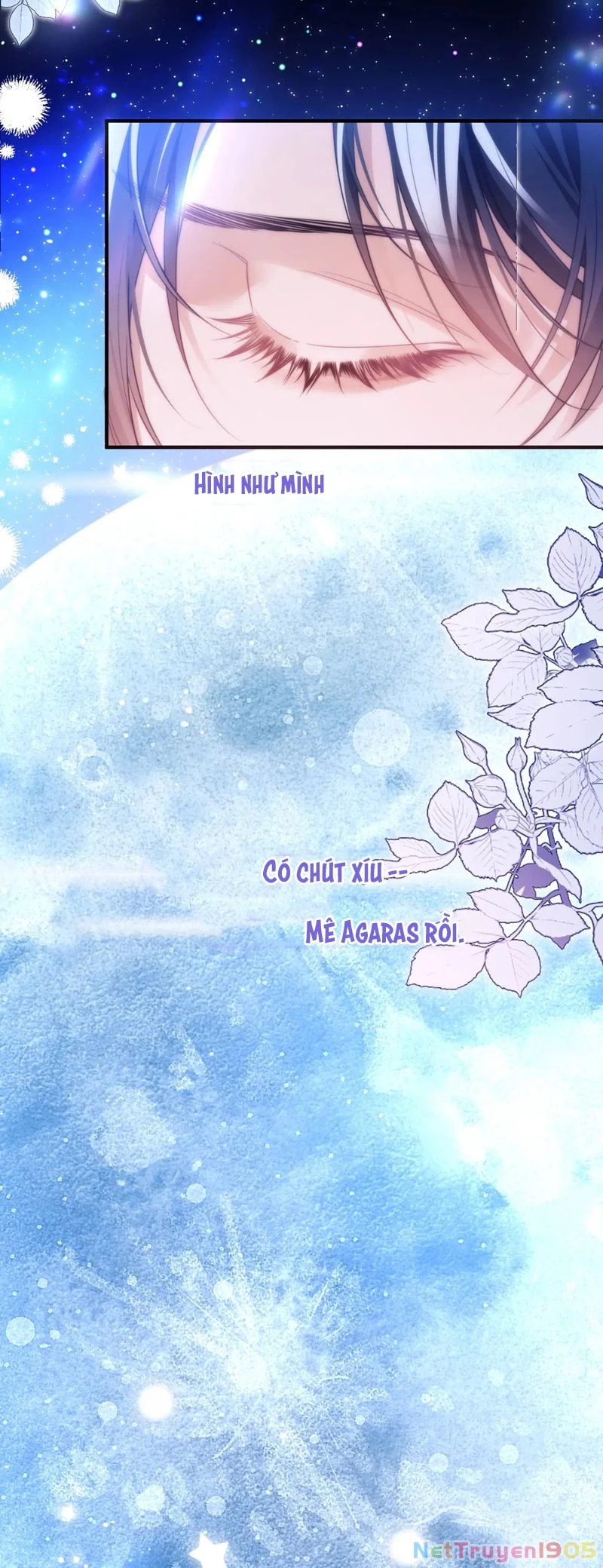 Desharow Nhân Ngư Chapter 59 - 13