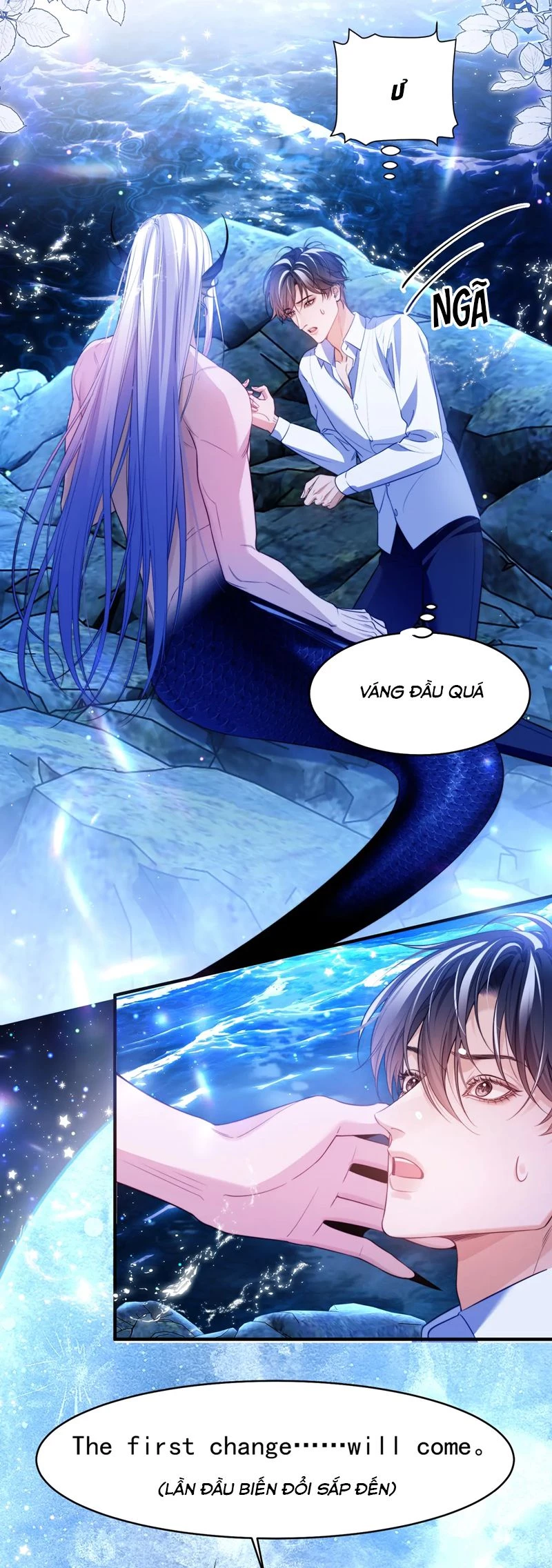 Desharow Nhân Ngư Chapter 59 - 17