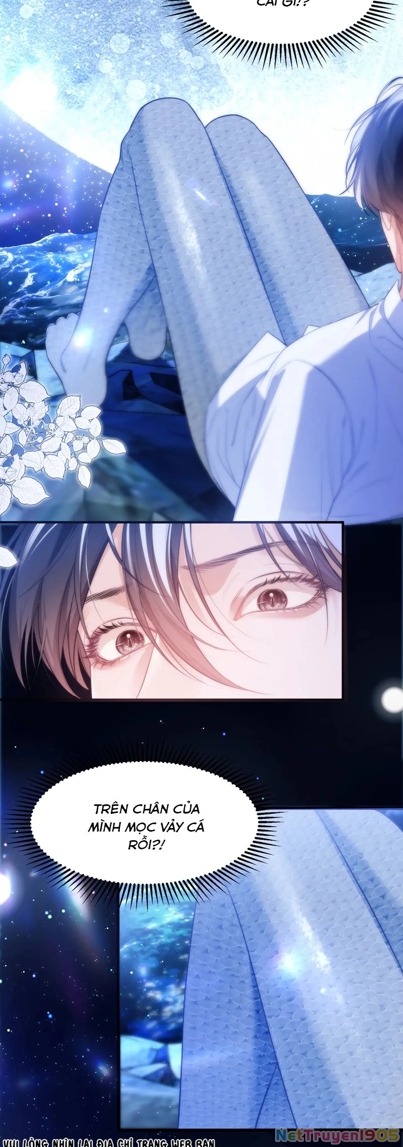 Desharow Nhân Ngư Chapter 59 - 22