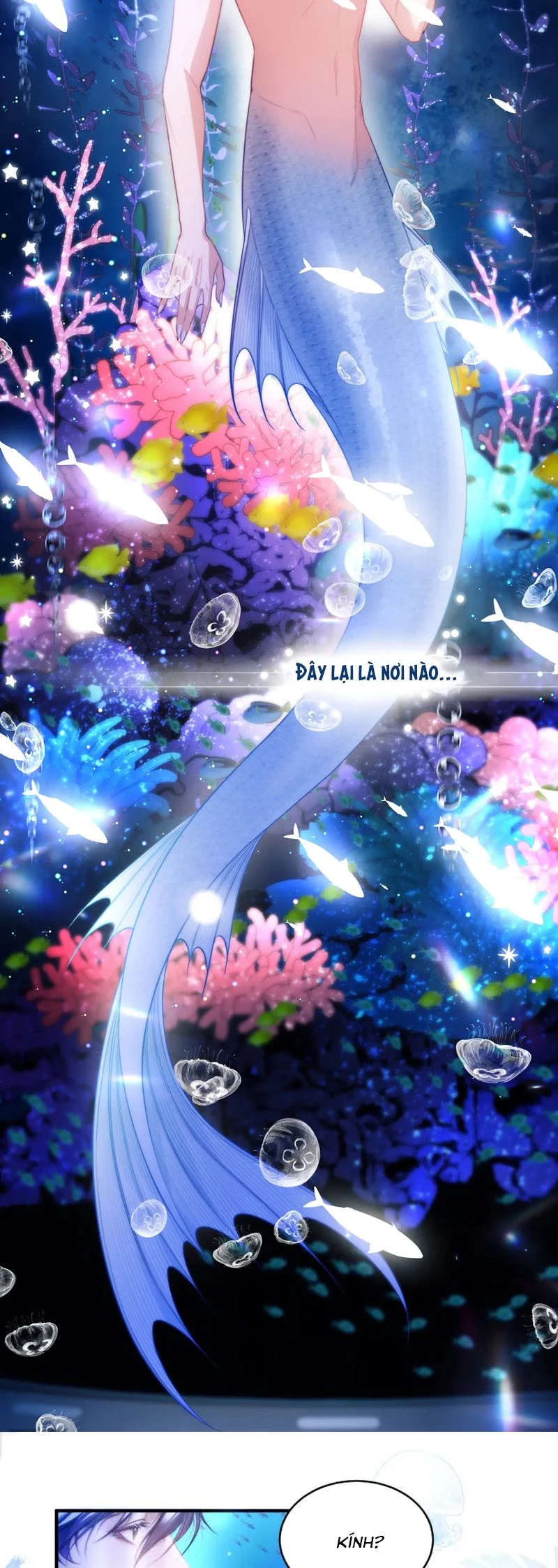 Desharow Nhân Ngư Chapter 60 - 5