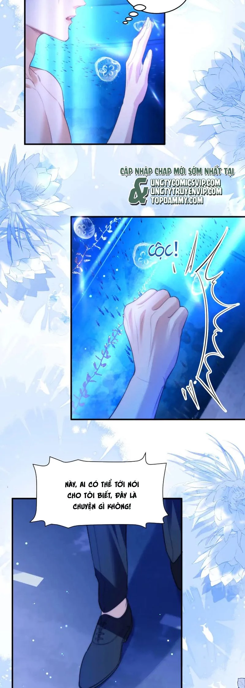 Desharow Nhân Ngư Chapter 60 - 6