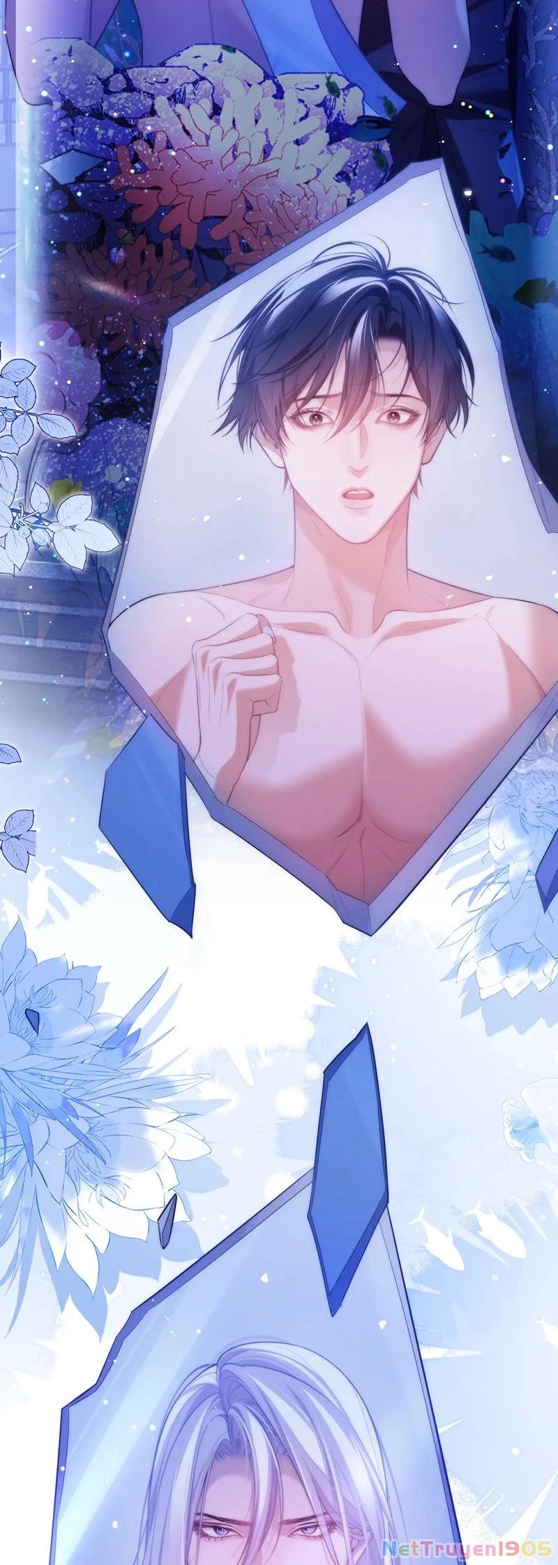 Desharow Nhân Ngư Chapter 60 - 13