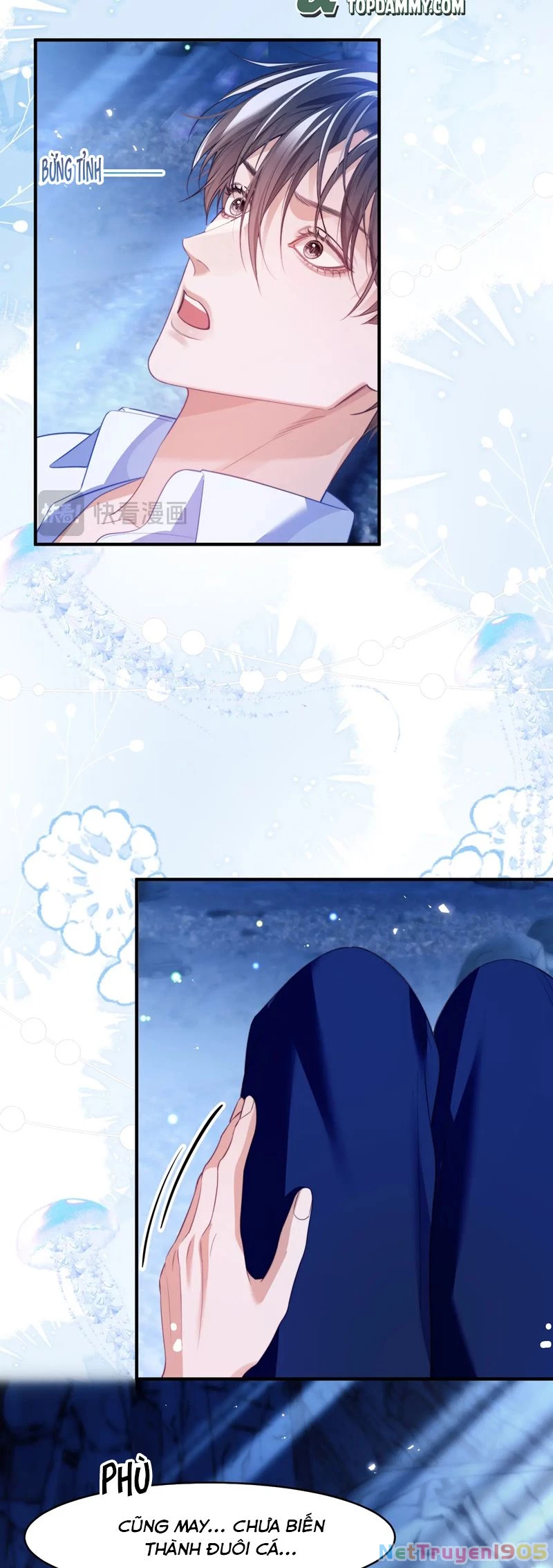 Desharow Nhân Ngư Chapter 60 - 15