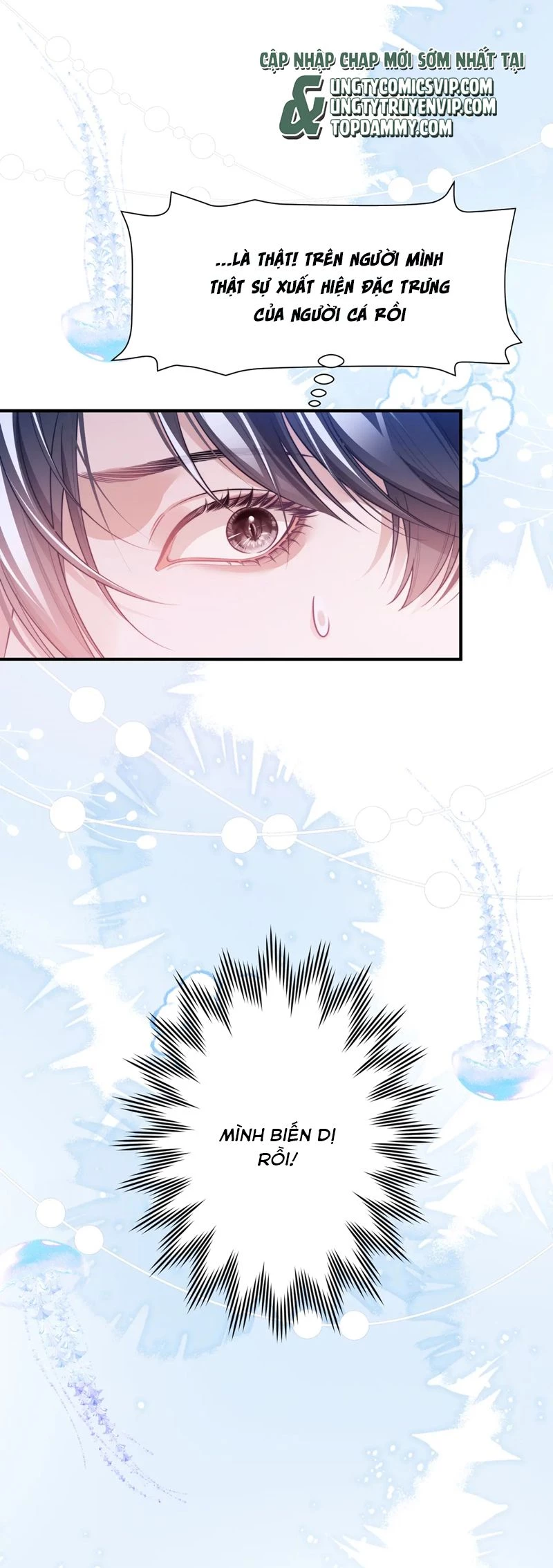 Desharow Nhân Ngư Chapter 60 - 19