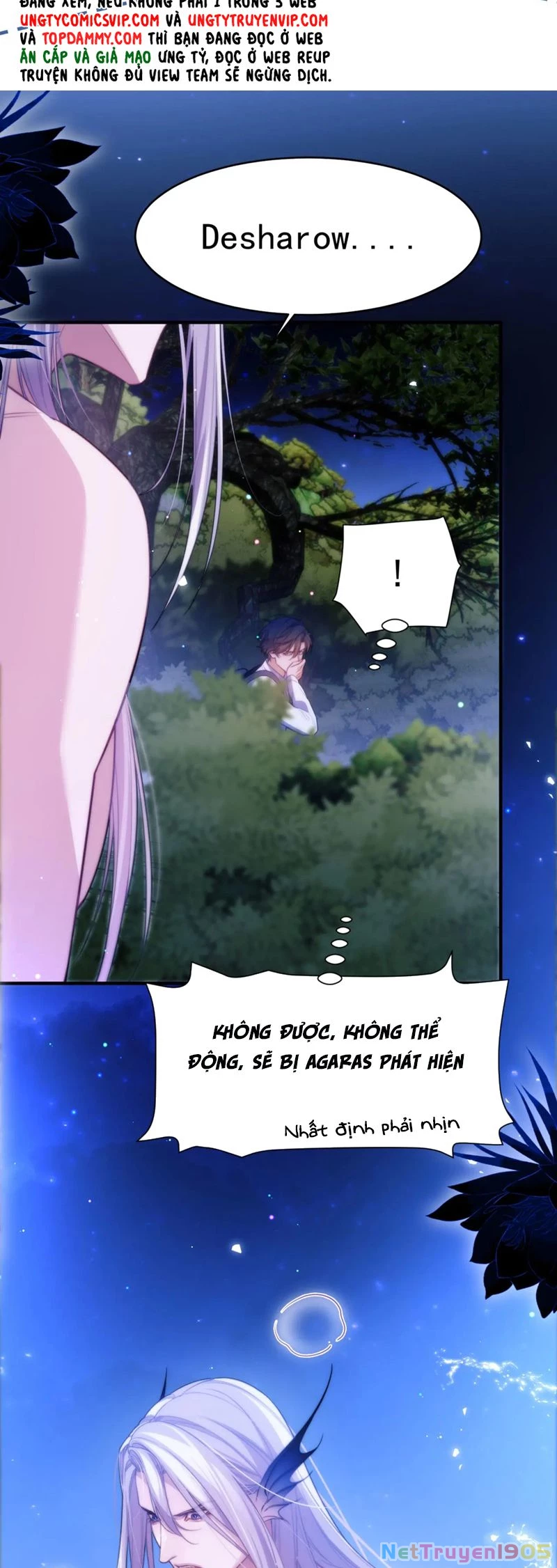 Desharow Nhân Ngư Chapter 61 - 12