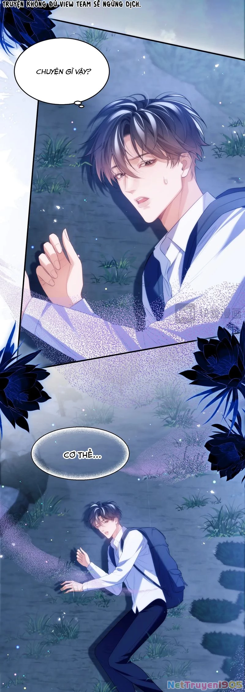 Desharow Nhân Ngư Chapter 62 - 4