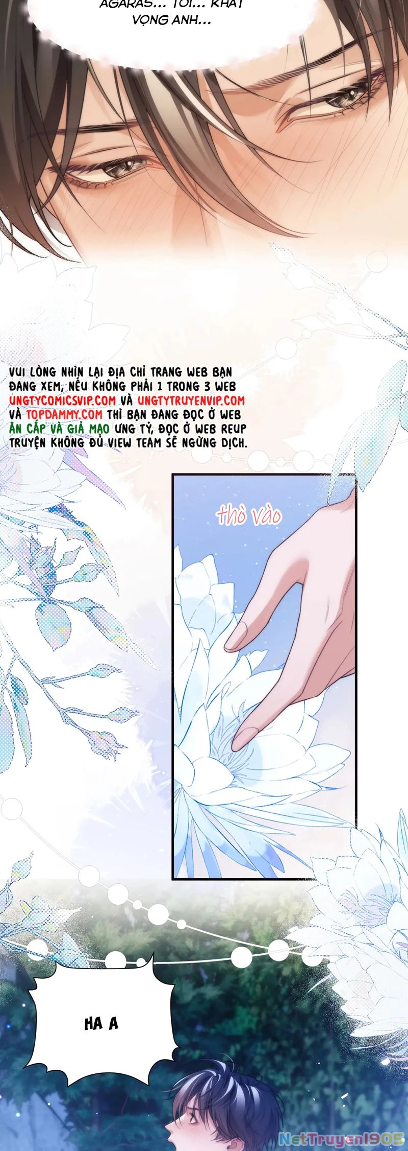 Desharow Nhân Ngư Chapter 62 - 13