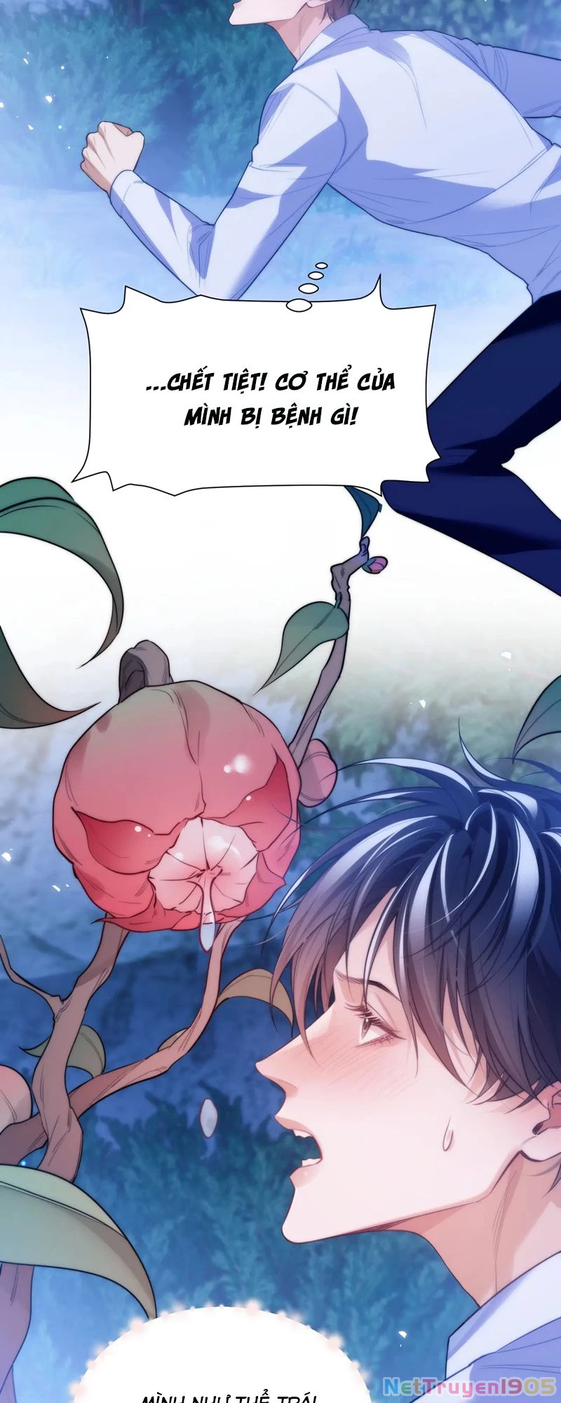 Desharow Nhân Ngư Chapter 62 - 14