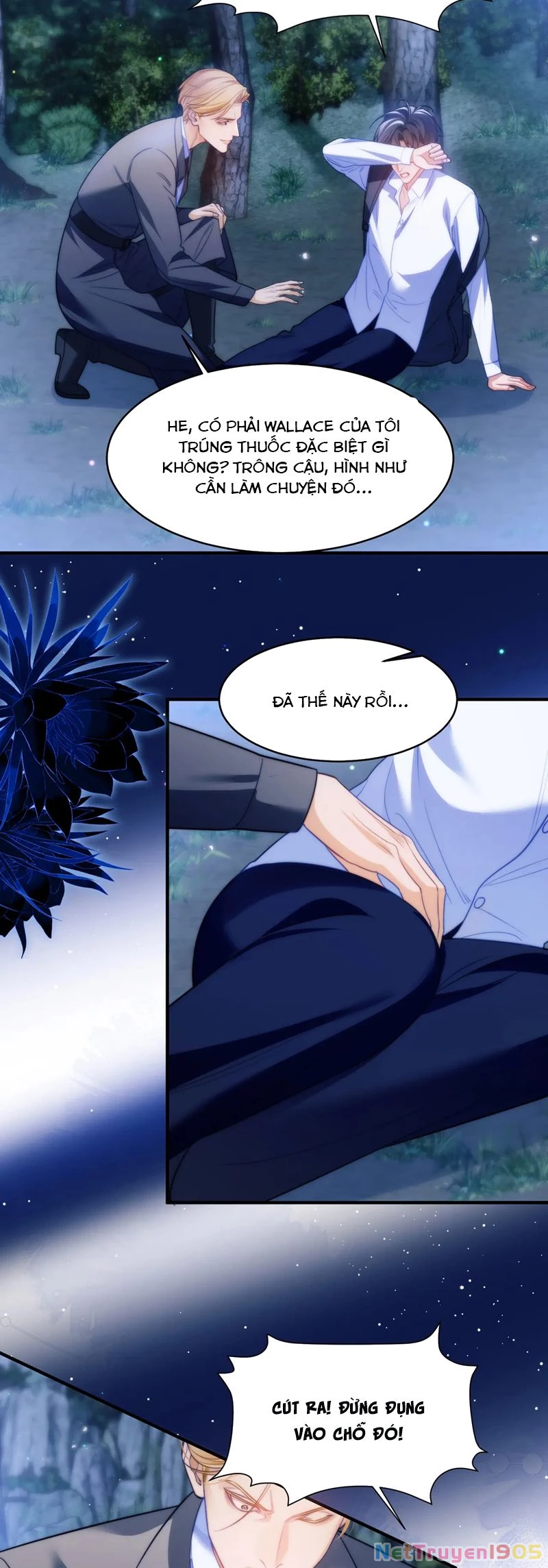 Desharow Nhân Ngư Chapter 63 - 12