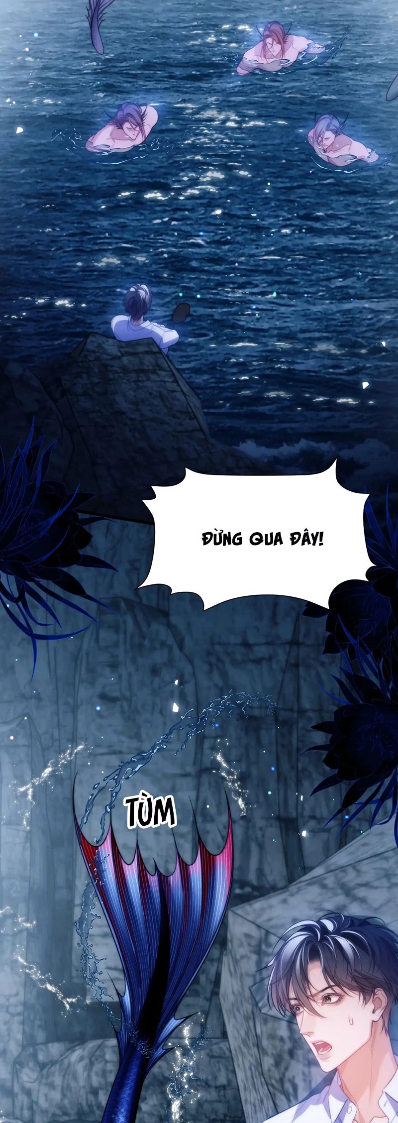 Desharow Nhân Ngư Chapter 64 - 13