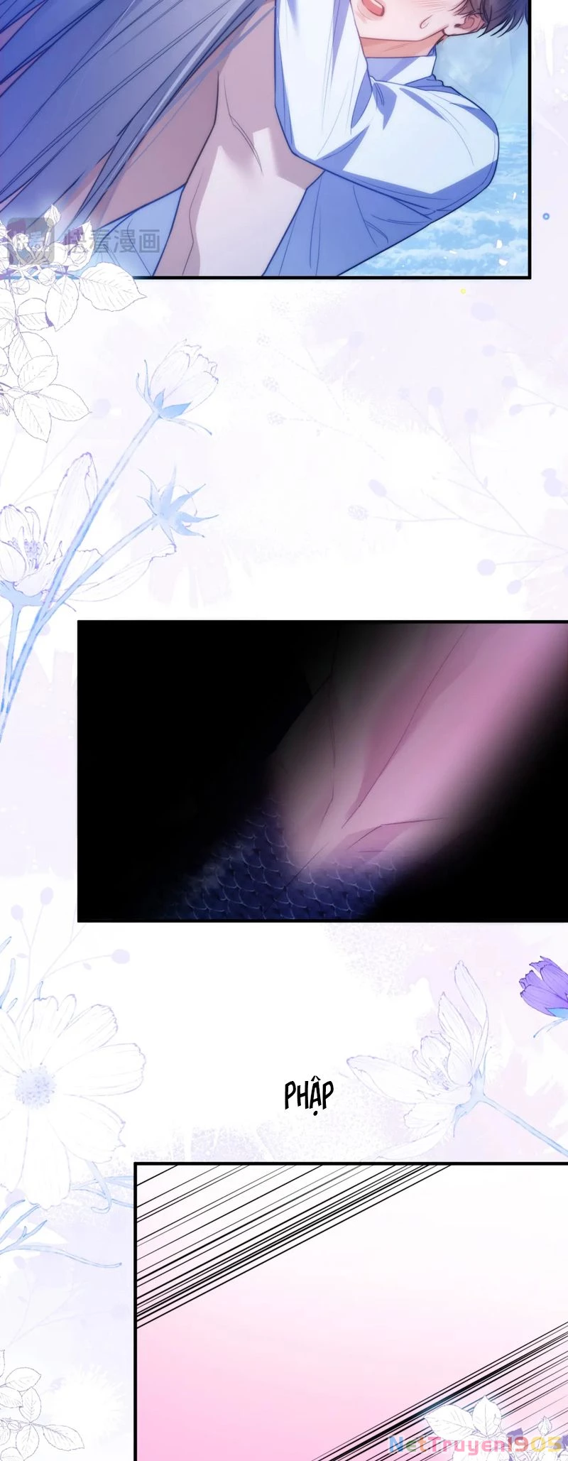 Desharow Nhân Ngư Chapter 65 - 15