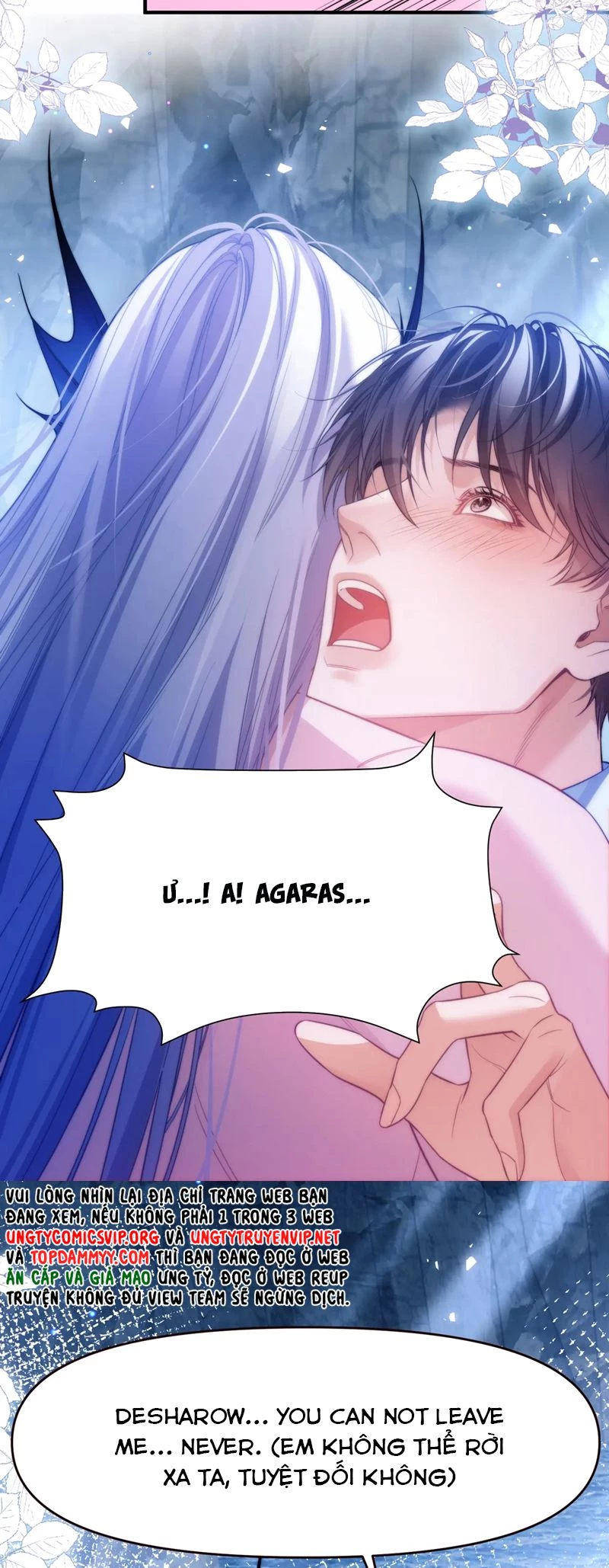 Desharow Nhân Ngư Chapter 65 - 16