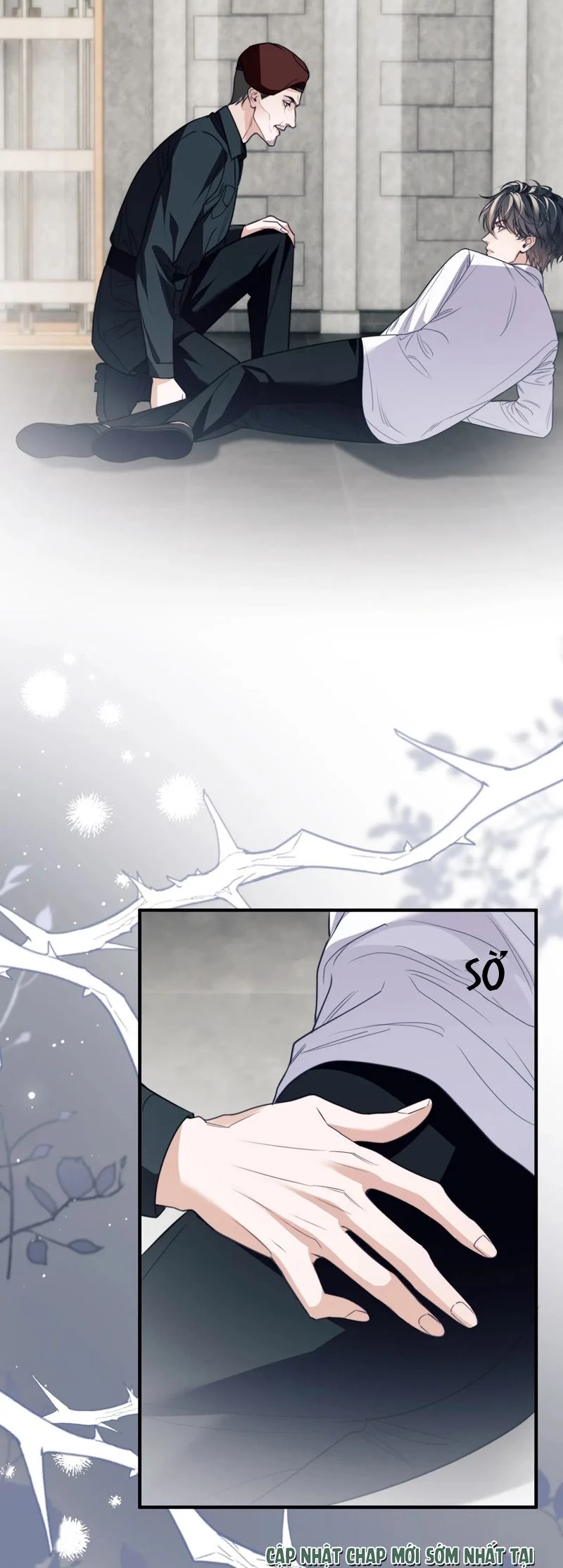 Desharow Nhân Ngư Chapter 67 - 11