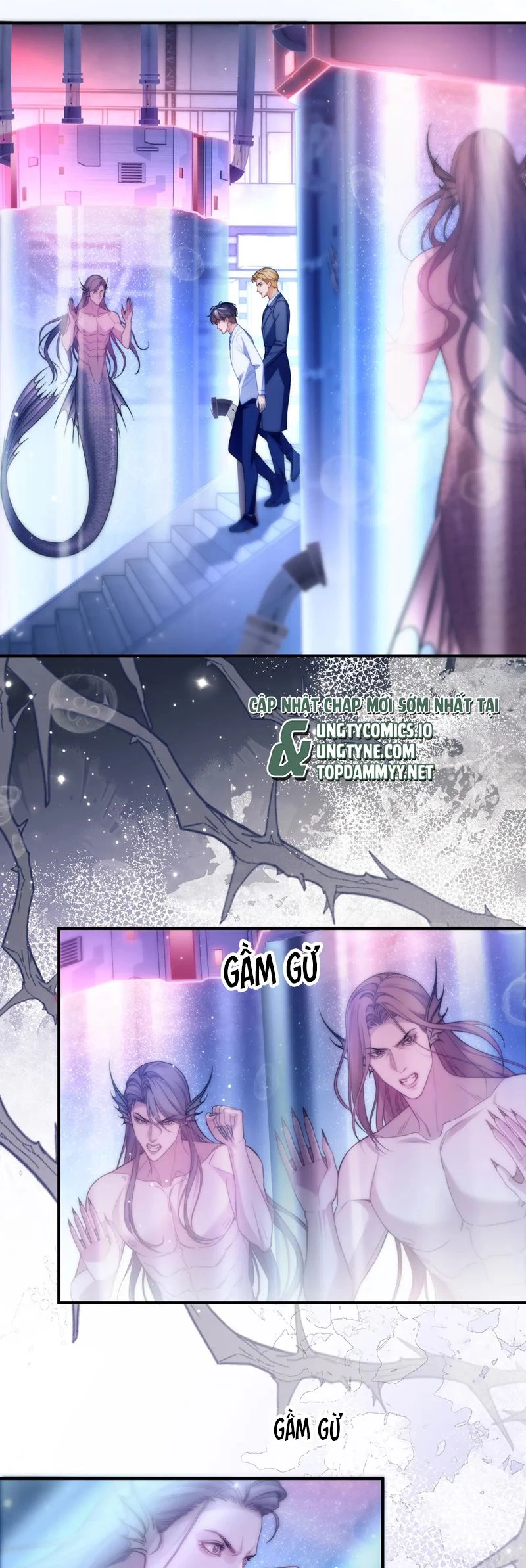 Desharow Nhân Ngư Chapter 68 - 2