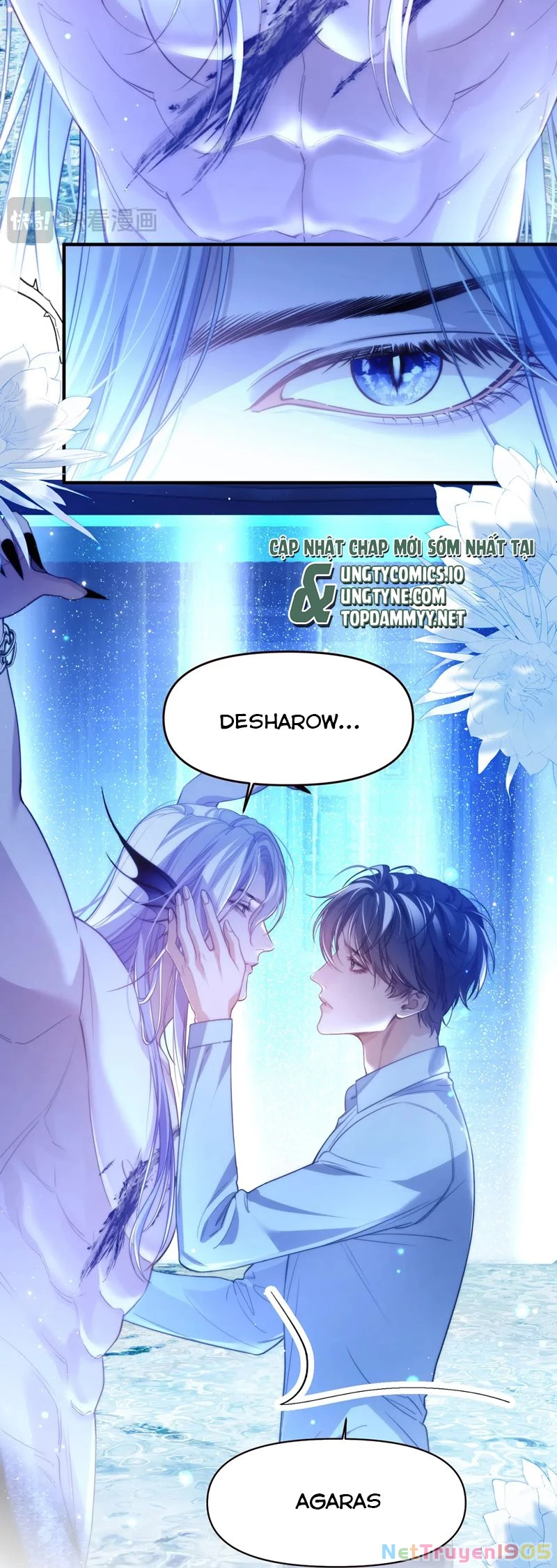 Desharow Nhân Ngư Chapter 68 - 19