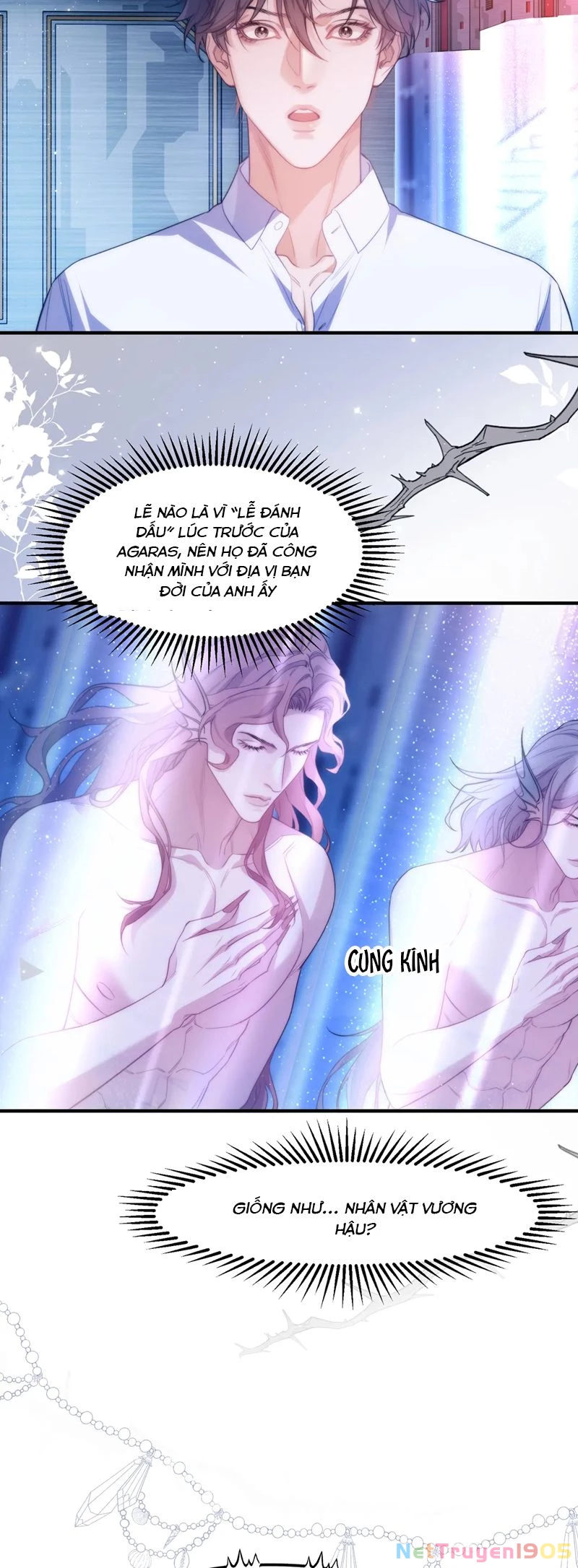 Desharow Nhân Ngư Chapter 70 - 20