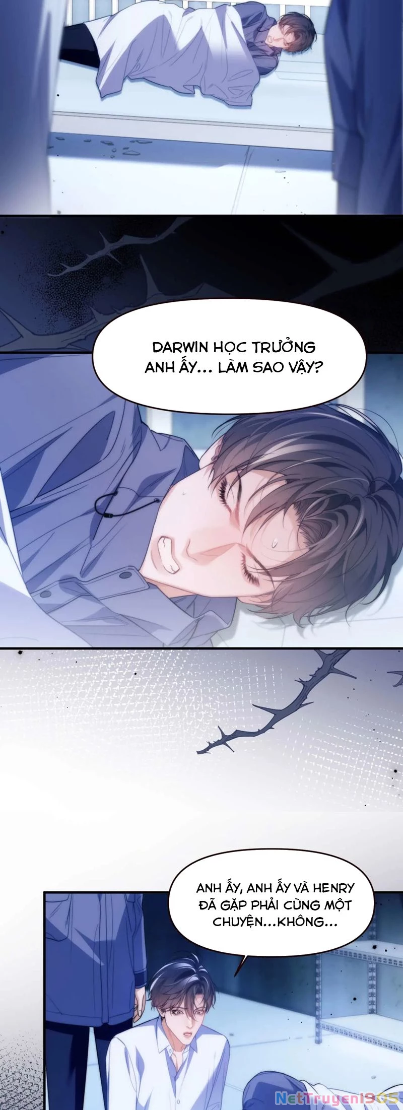Desharow Nhân Ngư Chapter 71 - 11