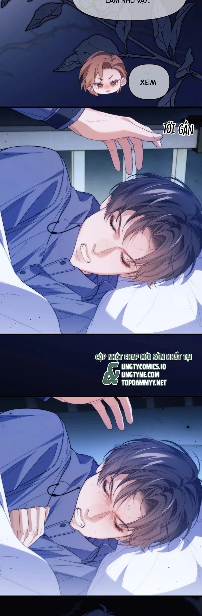 Desharow Nhân Ngư Chapter 72 - 10