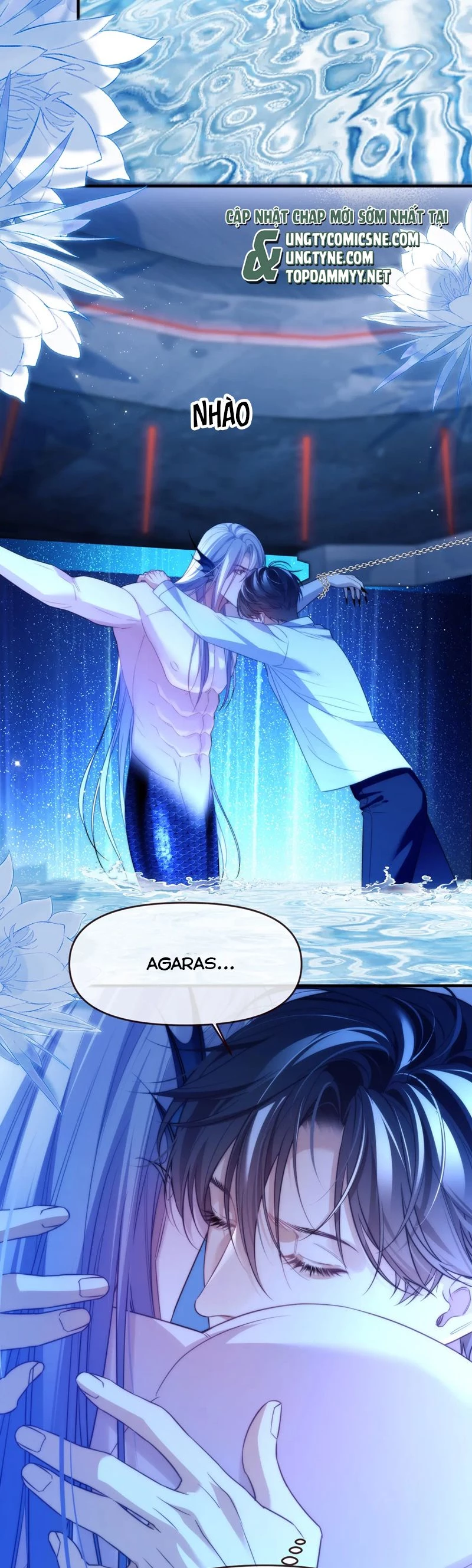 Desharow Nhân Ngư Chapter 74 - 8
