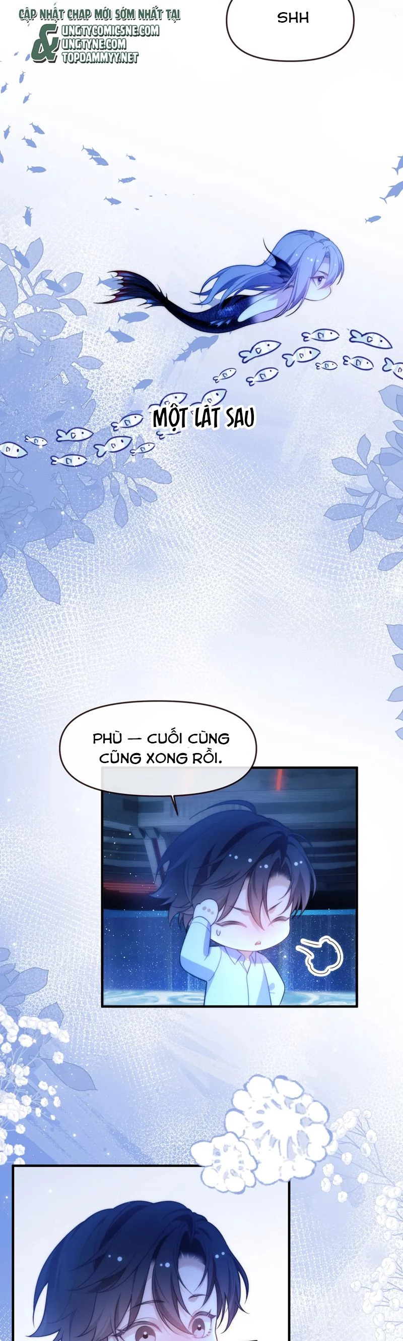 Desharow Nhân Ngư Chapter 74 - 11