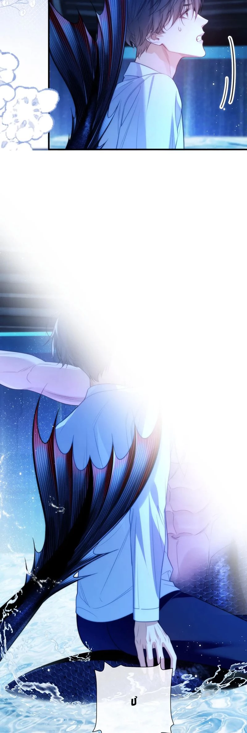 Desharow Nhân Ngư Chapter 74 - 14