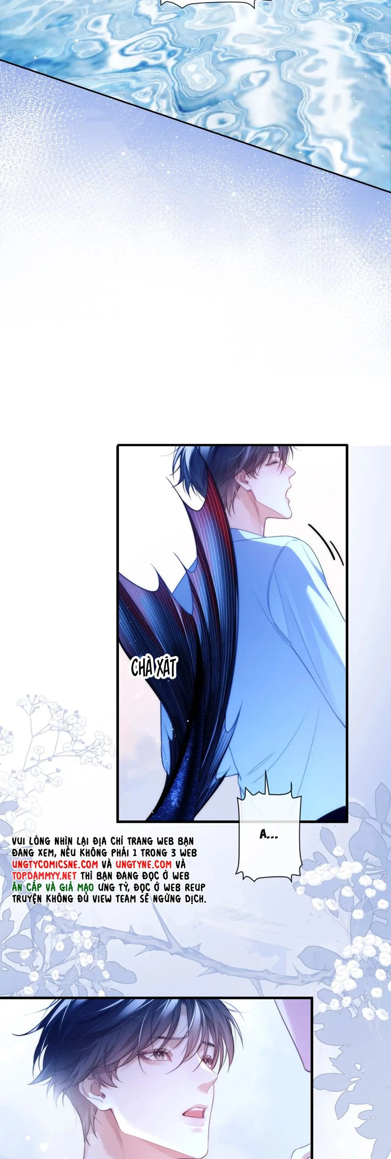 Desharow Nhân Ngư Chapter 74 - 15