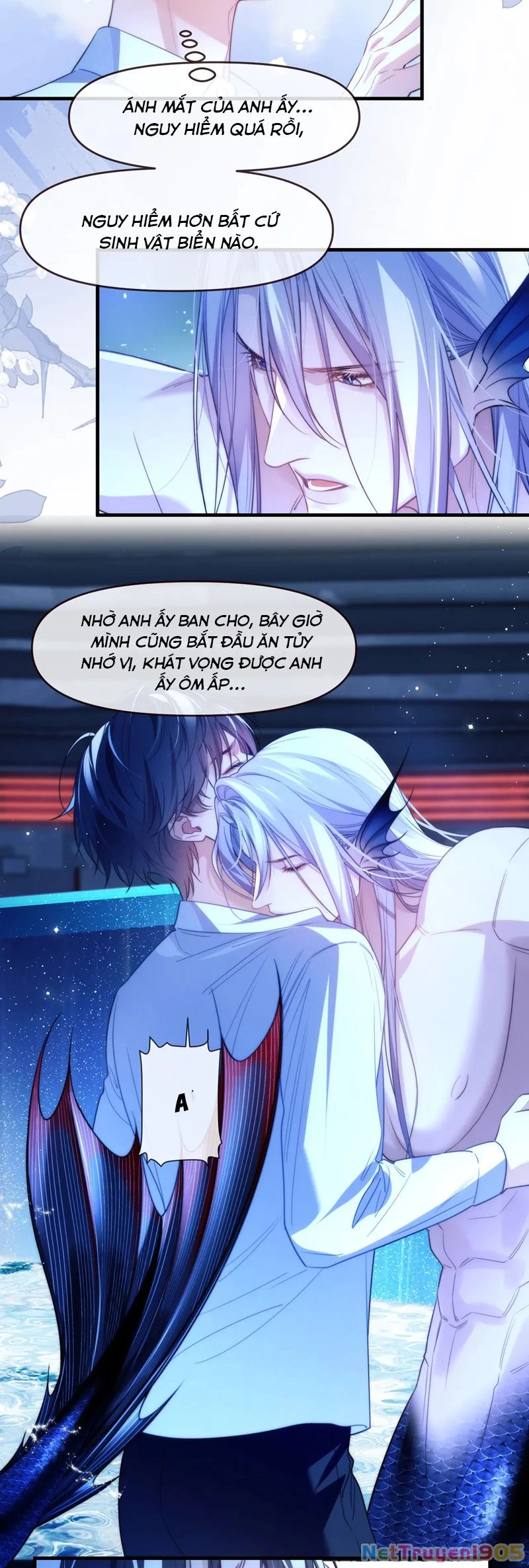 Desharow Nhân Ngư Chapter 74 - 16