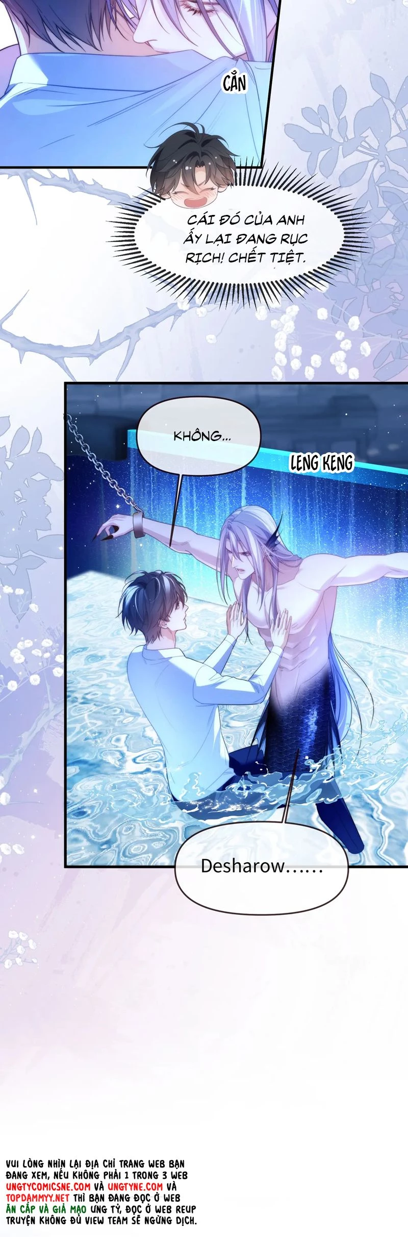 Desharow Nhân Ngư Chapter 75 - 3